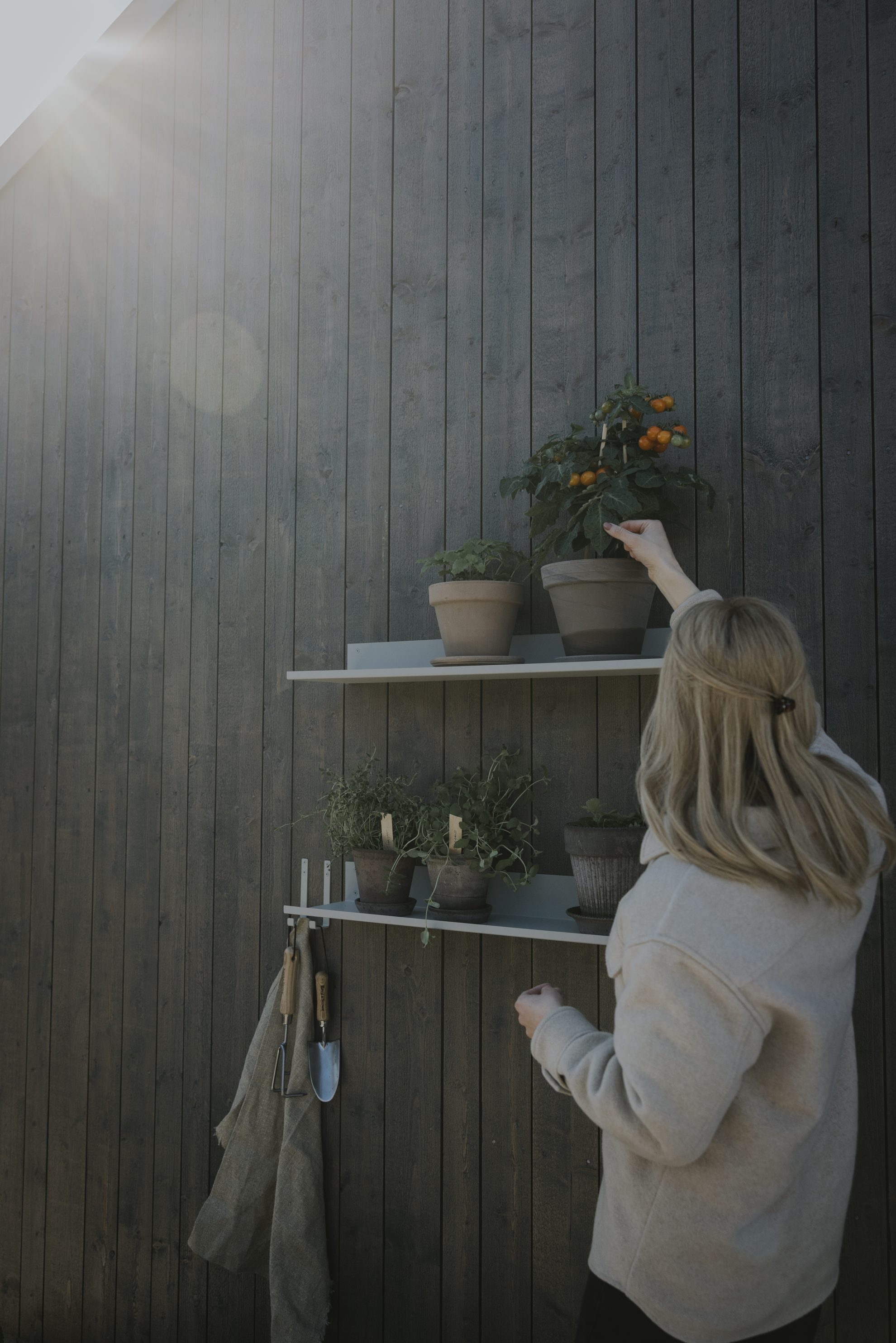 Vägghyllor i sandgrått stål med örter